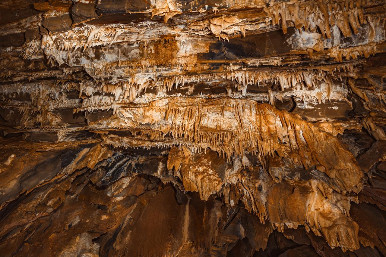 Ghaub Nature Reserve & Farm - One Namibia Grootfontein Bagian luar foto